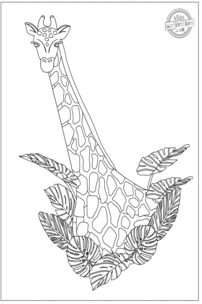 Coolest animal coloring pages for adults to print color kids activities blog