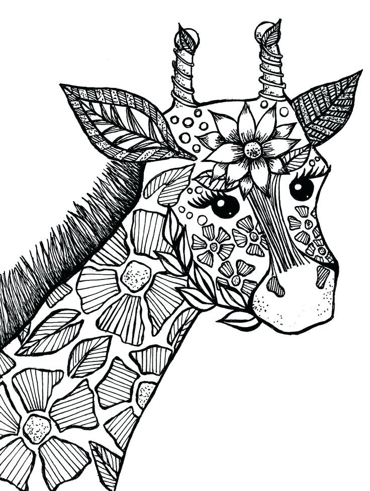 Animal coloring pages