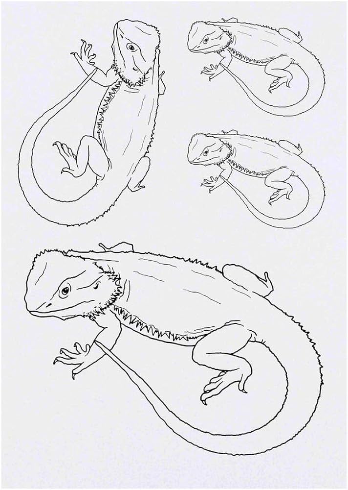X bearded dragon temporary tattoos to beauty personal care