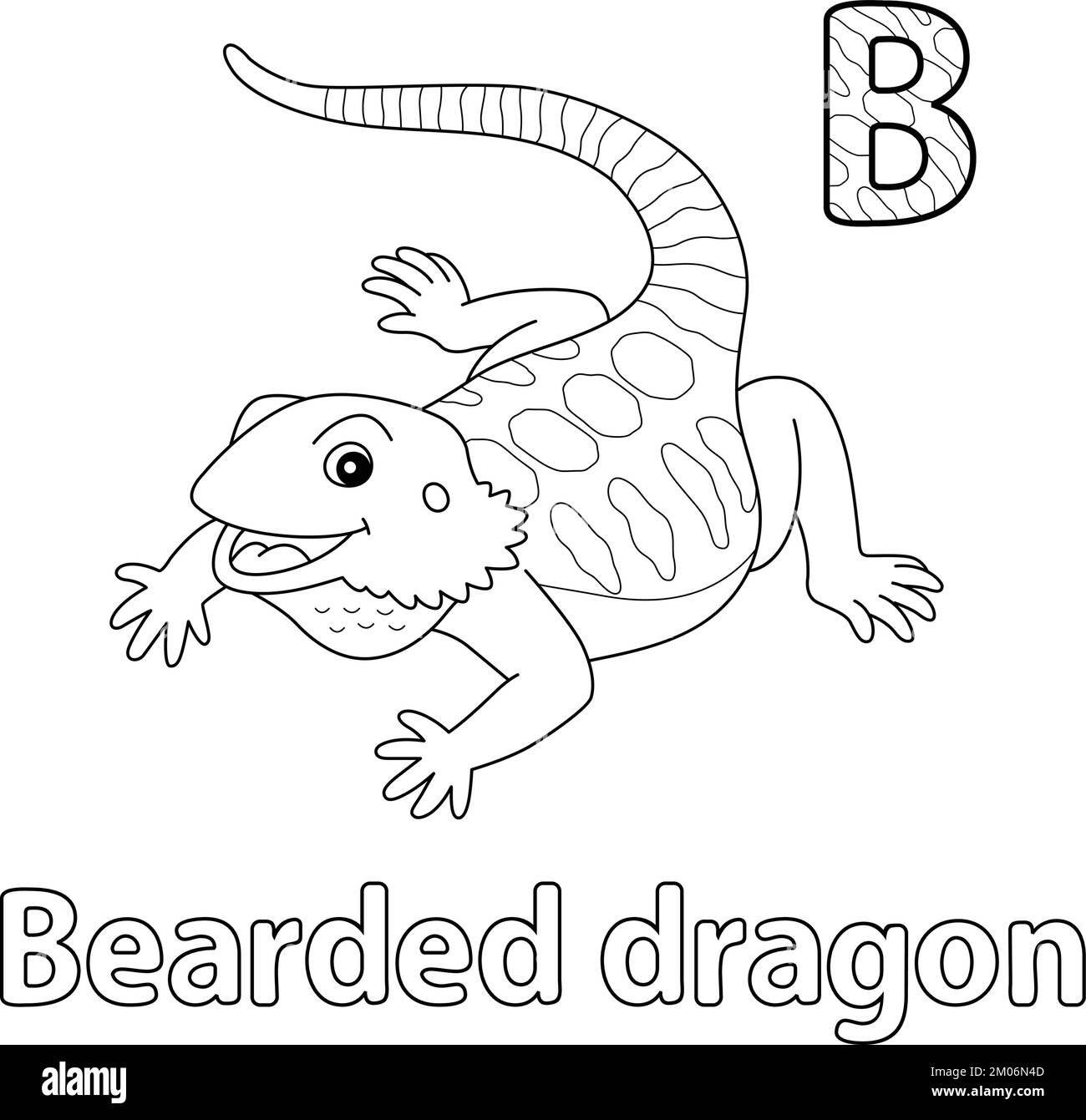 Color bearded dragon stock vector images