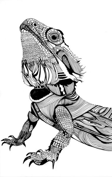 Dragon art print by eva vasari dragon coloring page dragon art bearded dragon tattoo