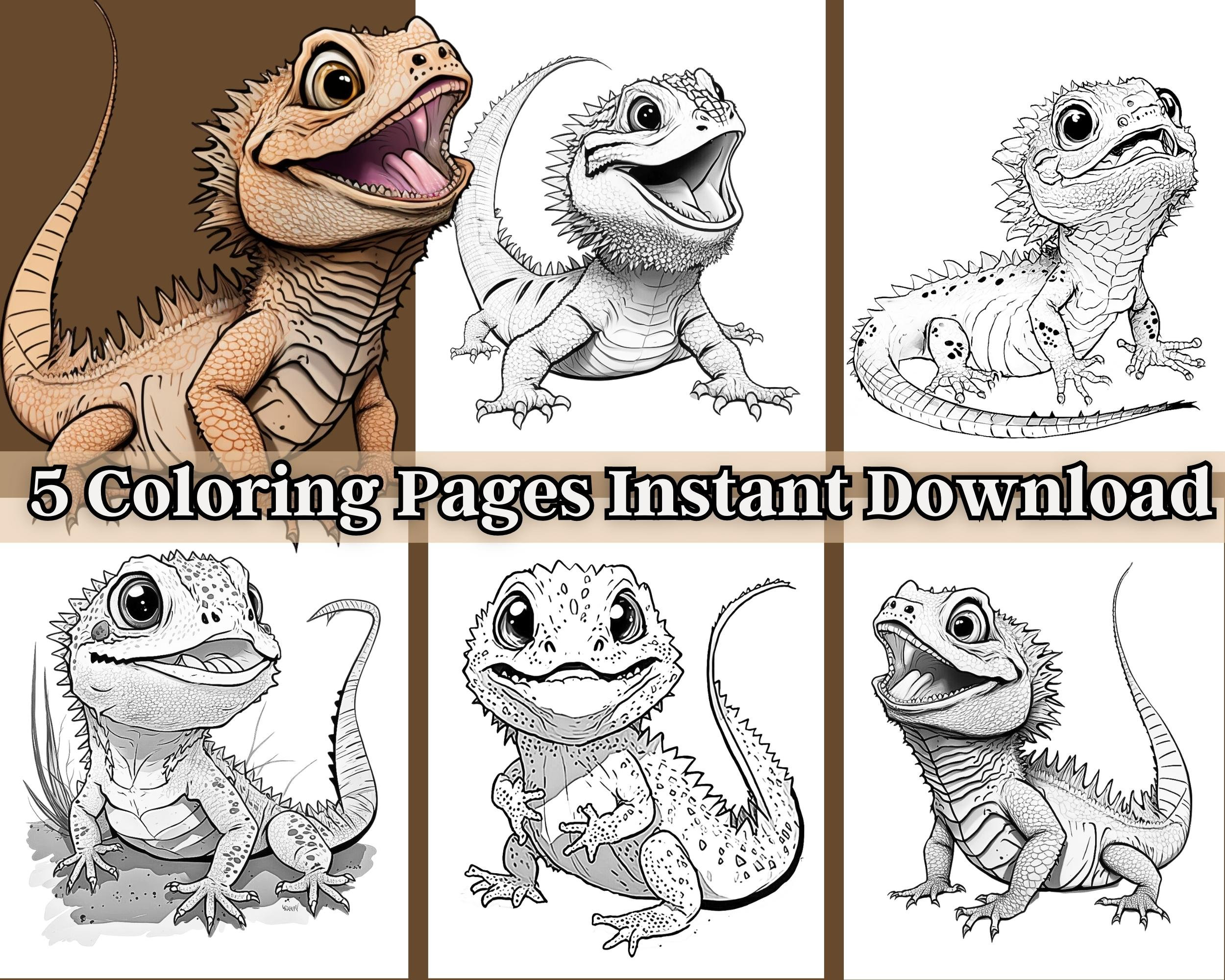 Lizard coloring page