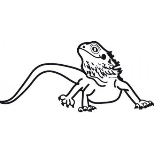 Bearded dragon coloring pages