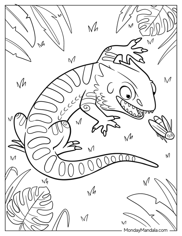 Bearded dragon coloring pages free pdf printables