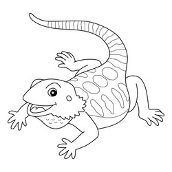 Bearded dragon lizards vector images