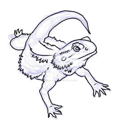 Bearded dragon sketch wip by obsessiongecko on deviantart dragon sketch dragon coloring page dragon art