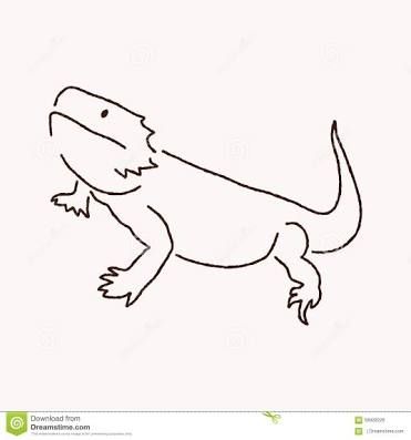 Image result for bearded dragon tattoo simple dragon tattoo outline bearded dragon tattoo dragon tattoo simple