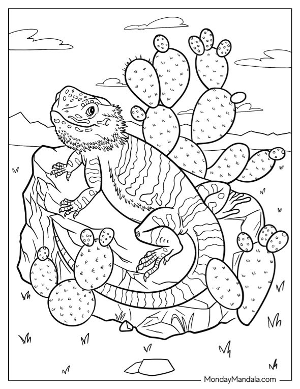 Bearded dragon coloring pages free pdf printables