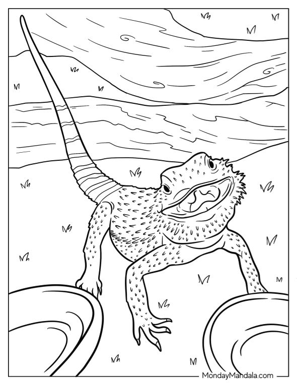 Bearded dragon coloring pages free pdf printables