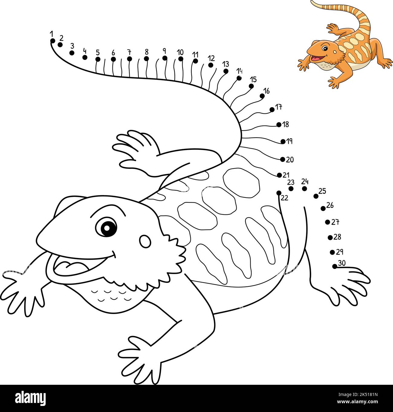 Color bearded dragon stock vector images