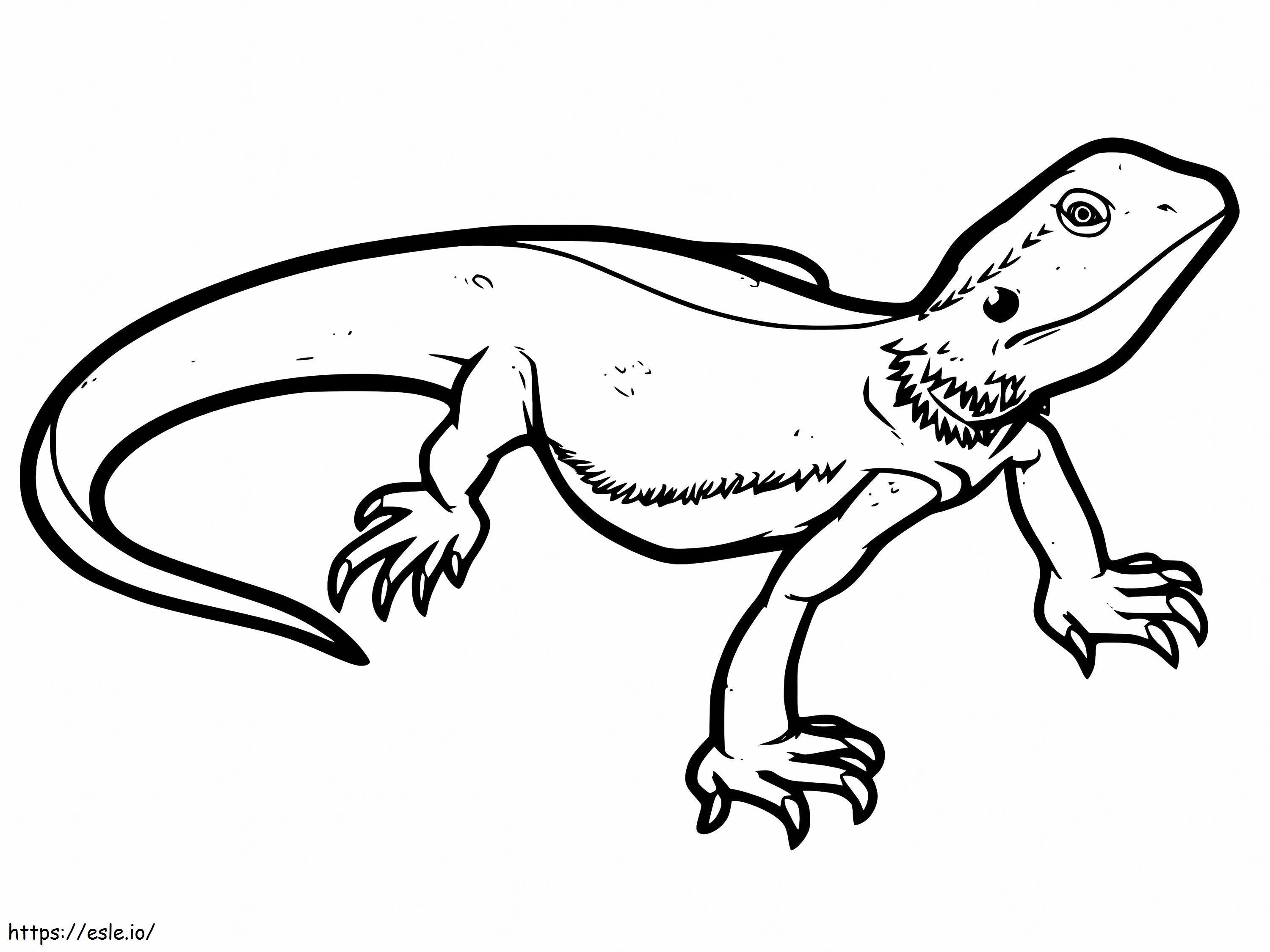 Printable bearded dragon coloring page