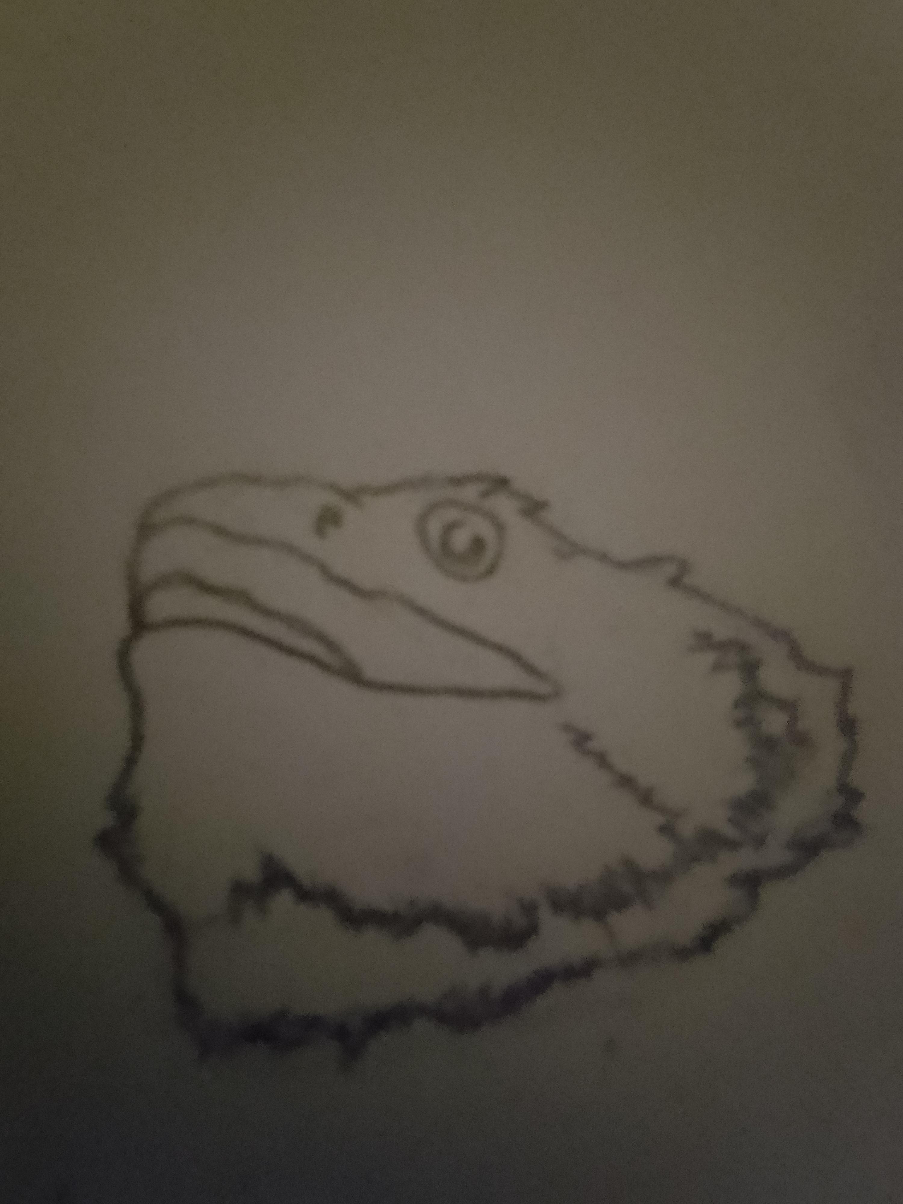 My attempt of drawing a bearded dragon no need to go easy on me rbeardeddragons