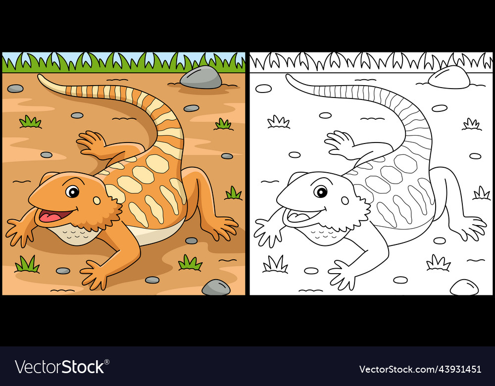 Bearded dragon lizards vector images
