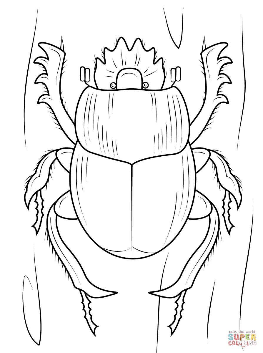 Scarabaeus dung beetle coloring page free printable coloring pages