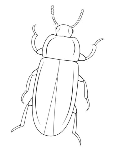 Mealworm beetle coloring page insect coloring pages bug coloring pages coloring pages