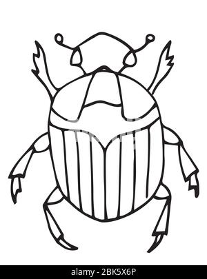 Beetle easy coloring page for kids exotic bug collectionhand drawn doodle style isolated on whiteinsect outline vector icon stock vector image art