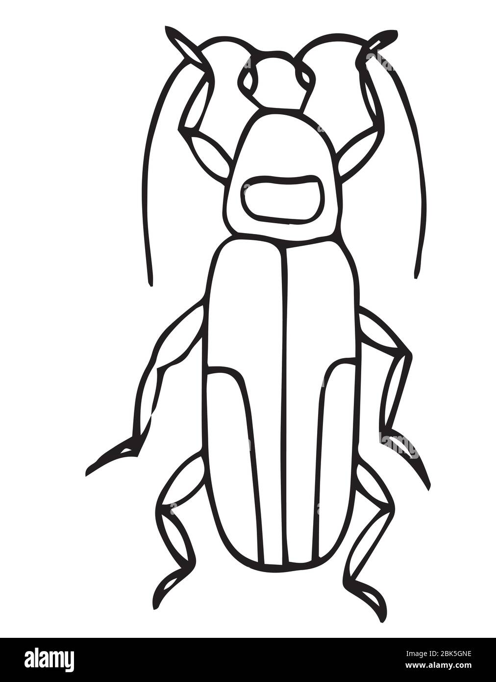 Beetle easy coloring page for kids exotic bug collectionhand drawn doodle style isolated on whiteinsect outline vector icon stock vector image art