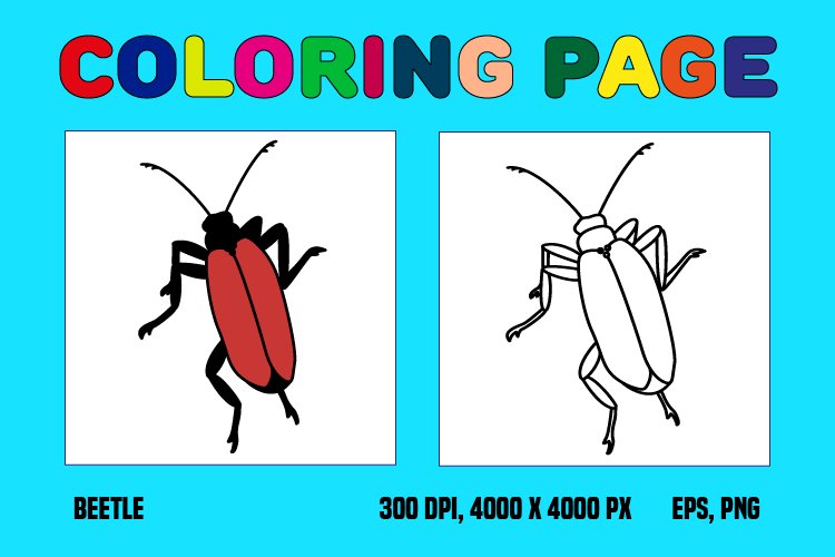 Beetle coloring page