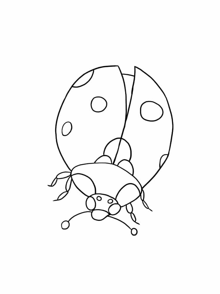 Simple drawing of a ladybug in the garden coloring page