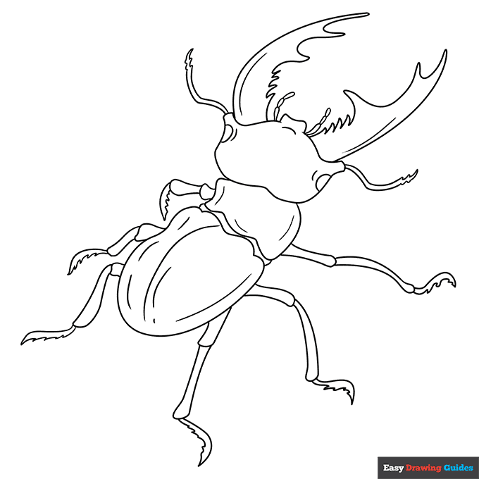 Beetle coloring page easy drawing guides