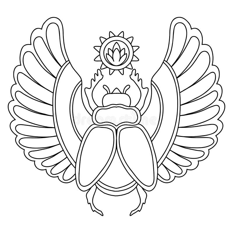 Beautiful scarab beetle coloring template vector illustration stock vector