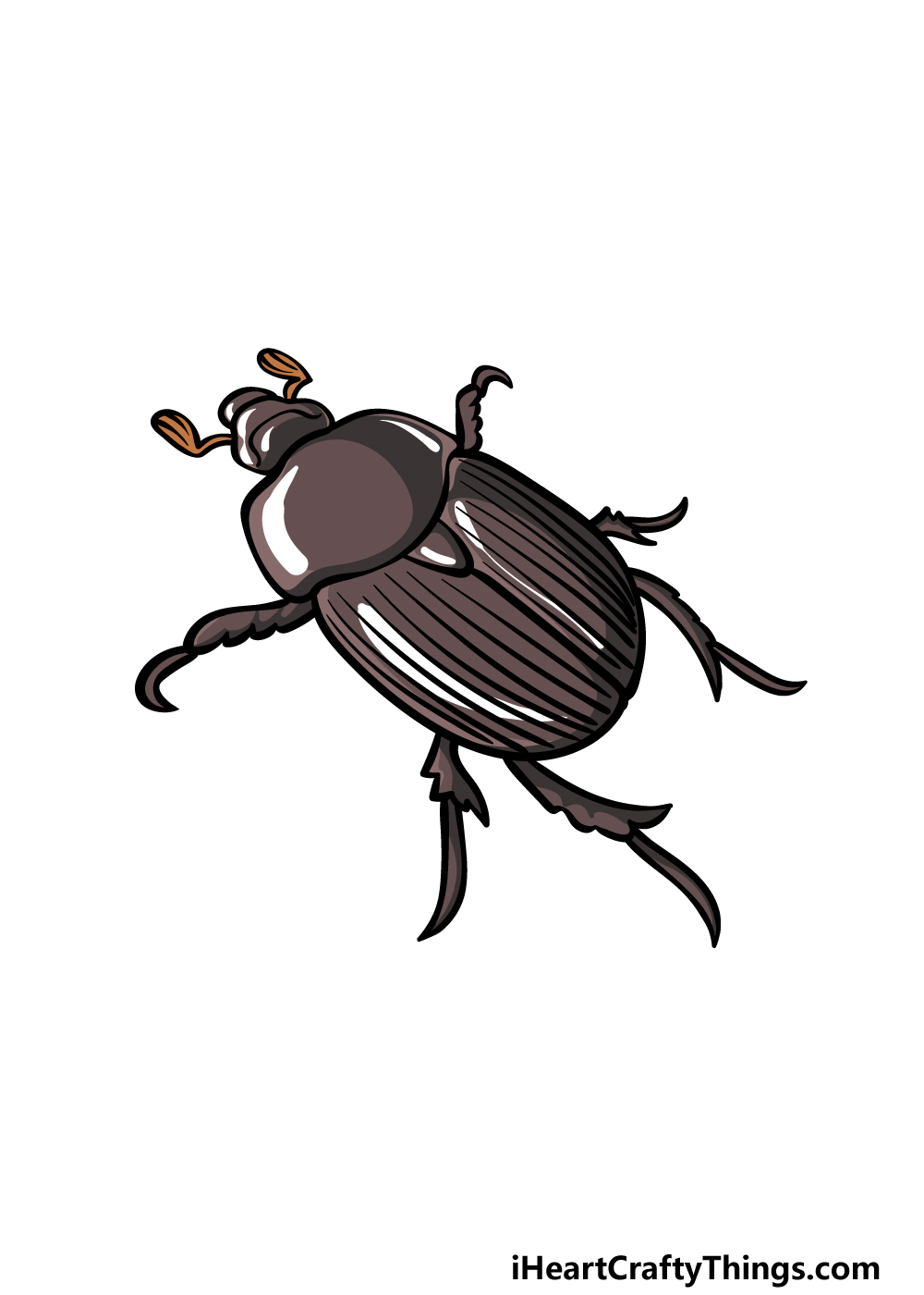 Beetle drawing
