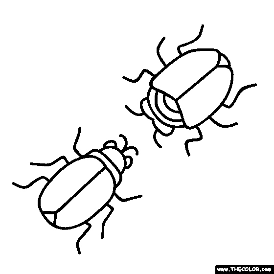 Insect online coloring pages