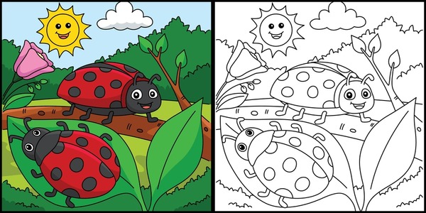 Beetle coloring page royalty