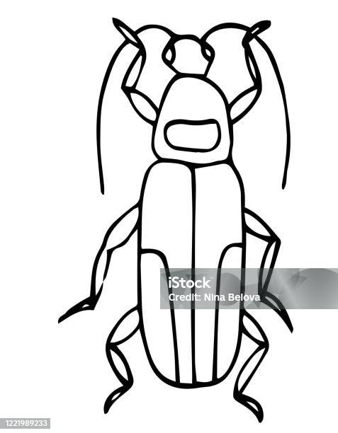 Beetle easy coloring page for kids exotic bug collectionhand drawn doodle style isolated on whiteinsect outline vector icon stock illustration