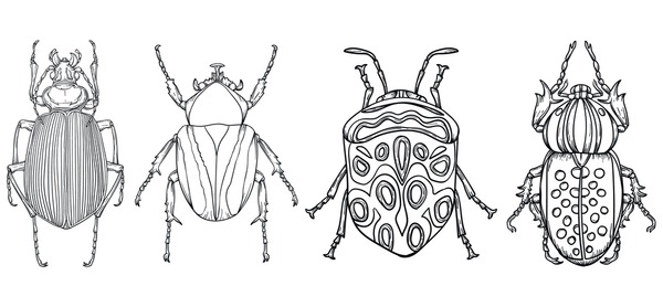 Beetle coloring page royalty