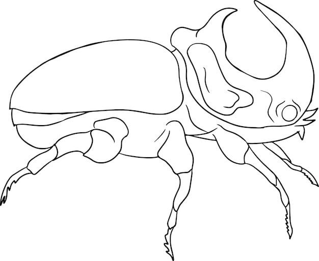 Premium vector rhinoceros beetles coloring pages detailed illustration bugs vector hand drawn illustration