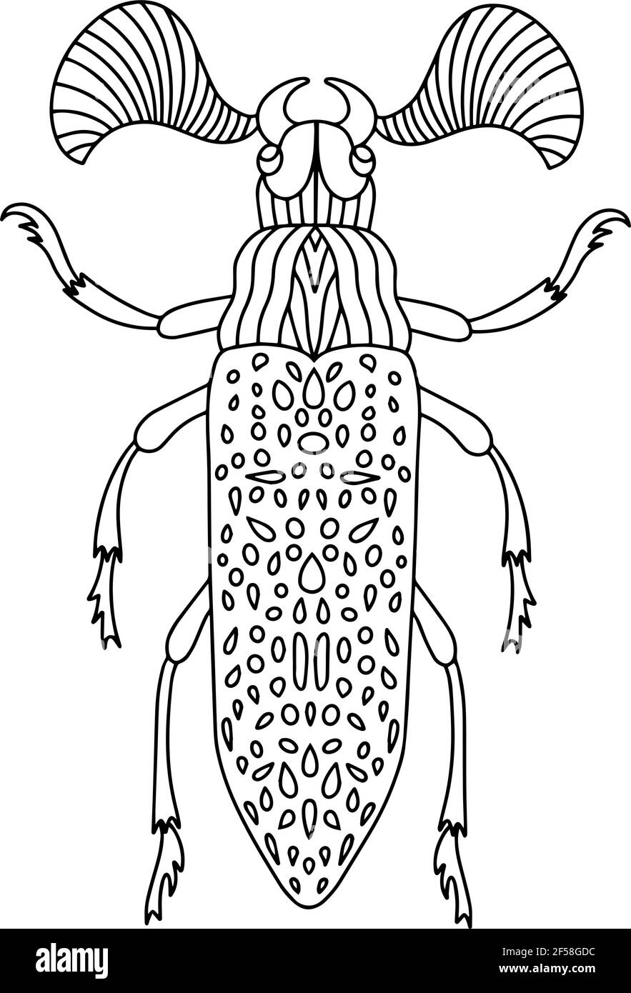 Fanous beetle is a coloring book of insect beetles stock vector image art