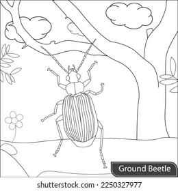 Beetle coloring page royalty