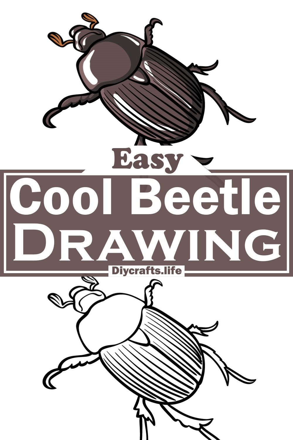 Amazing bug drawings with step by step guide