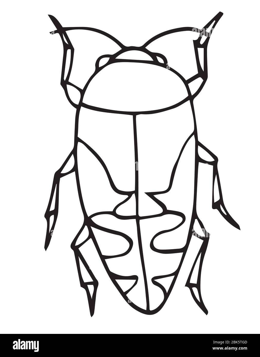 Beetle insect outline vector icon easy coloring book for kids exotic bug collectionhand drawn doodle style isolated on white stock vector image art