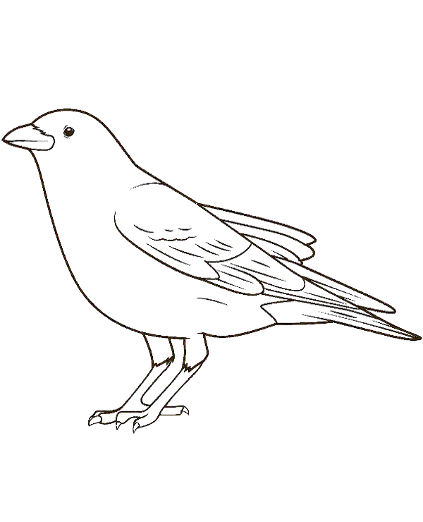 Easy coloring page with a bird