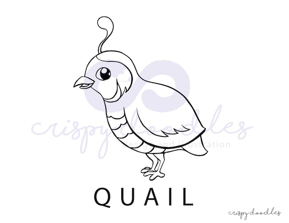 Printable bird coloring pages download cute bird coloring pages pdf bird coloring sheets for kids simple coloring pages for toddlers