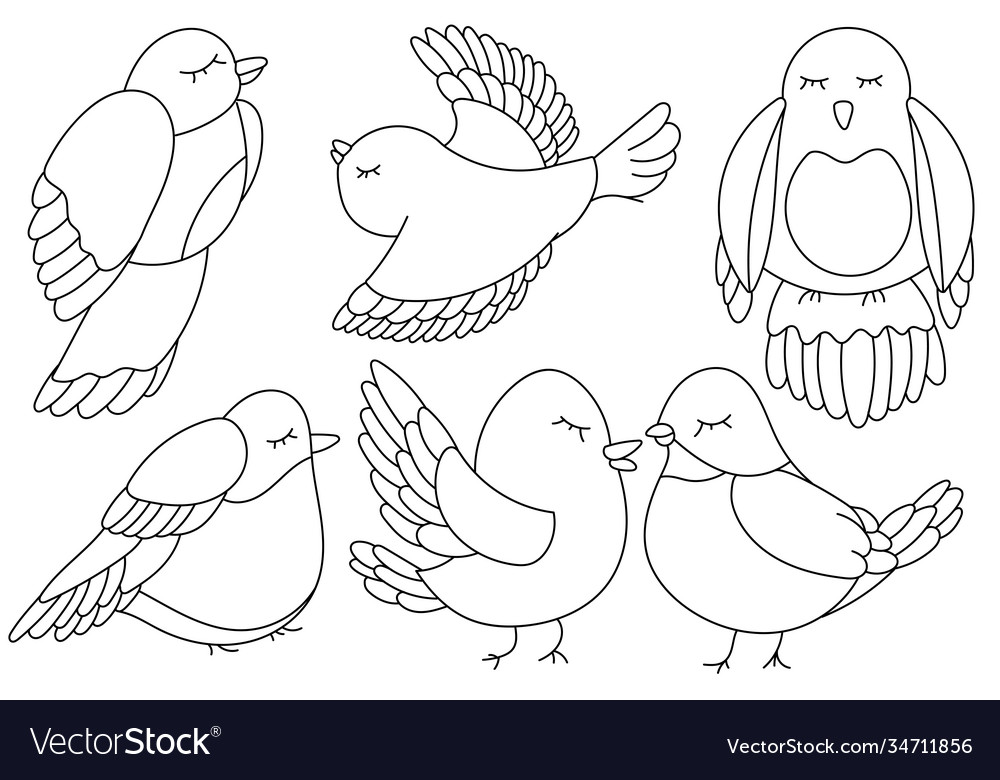 Simple birds coloring page outline royalty free vector image