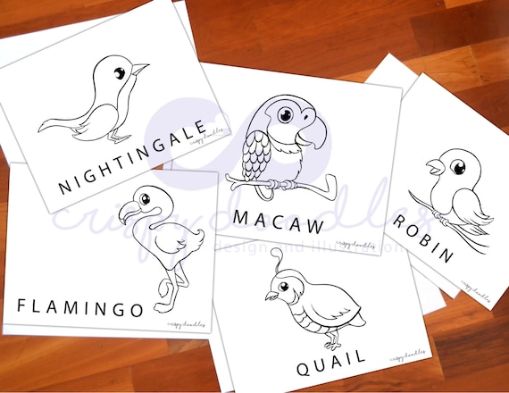 Printable bird coloring pages download cute bird coloring pages pdf bird coloring sheets for kids simple coloring pages for toddlers