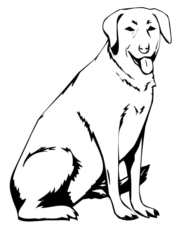 Labrador coloring pages