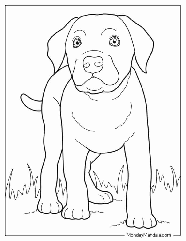 Dog coloring pages free pdf printables