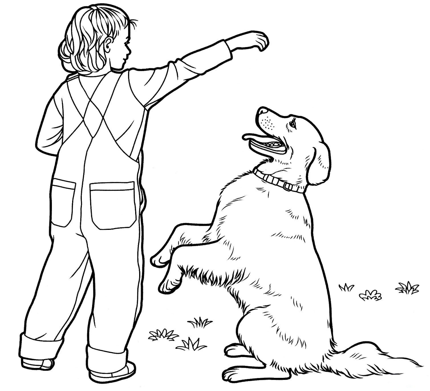 Labrador coloring pages