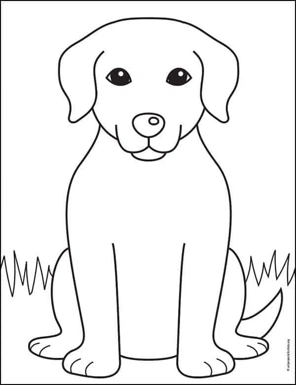 Easy how to draw a labrador tutorial and labrador coloring page