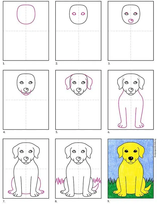 Easy how to draw a labrador tutorial and labrador coloring page