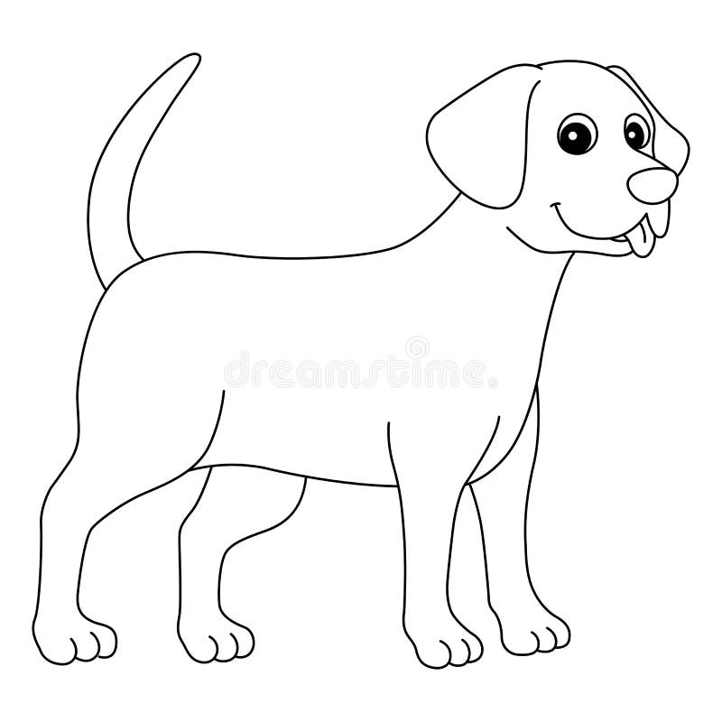 Black lab coloring stock illustrations â black lab coloring stock illustrations vectors clipart