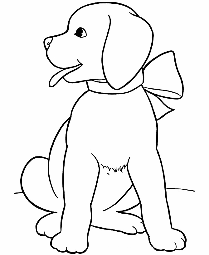 Labrador coloring pages