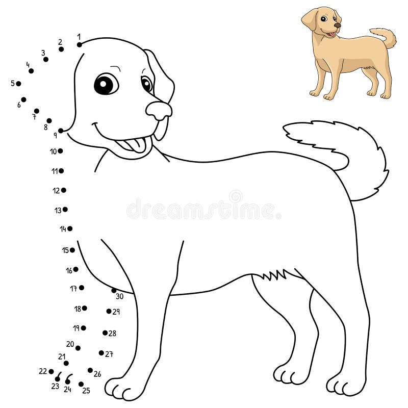 Dot to dot labrador retriever isolated coloring stock vector