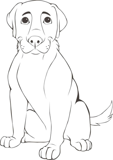 Labrador puppy free stock vectors