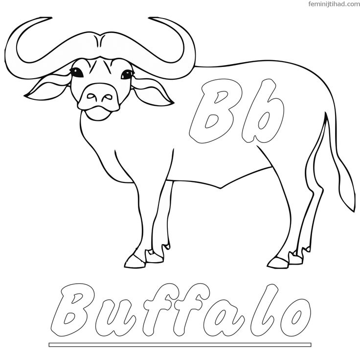 Free buffalo coloring pages pdf to print