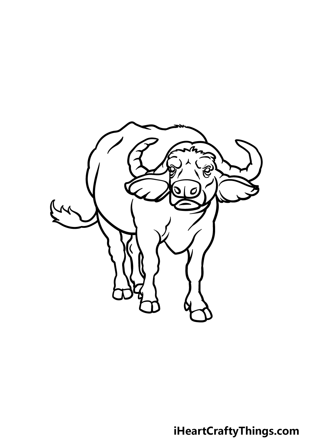 Buffalo drawing